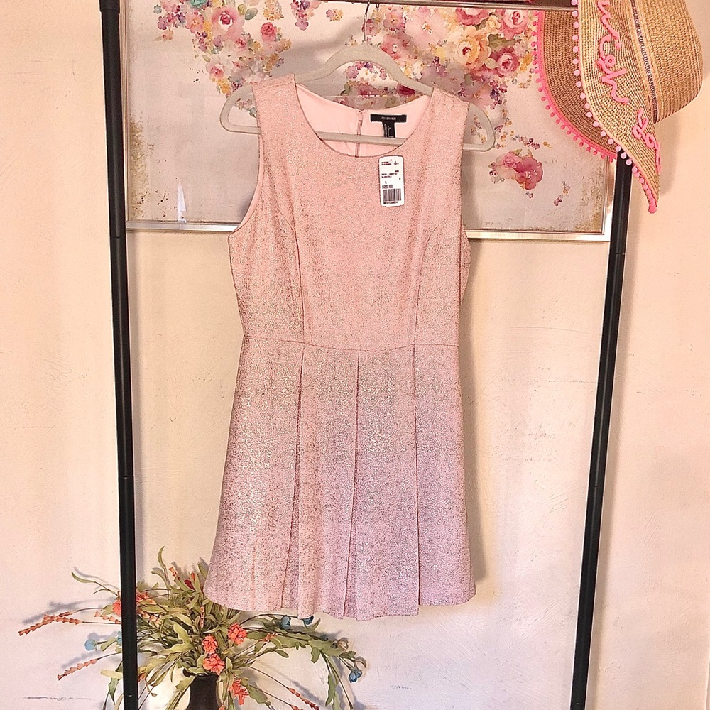 Blush and Gold Pleated Mini Dress